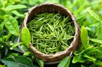 Đài Loan (Trung Quốc) lưu ý về Giấy chứng nhận kiểm dịch thực vật