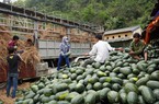 Hàng vào Trung Quốc ngày càng khó