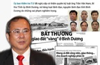 Tiếp tay thao túng 43ha đất "vàng", một loạt lãnh đạo chủ chốt tỉnh Bình Dương vướng lao lý