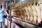 Nâng cao chất lượng an toàn thực phẩm: Đồng bộ các khâu trong chuỗi giá trị nông sản