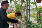 Thái Bình: Vườn sân thượng trồng la liệt cây cảnh phong thủy độc đáo, lạ mắt của bà mẹ trẻ