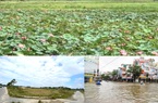 Quảng Ngãi:
Dự án khu dân cư vô tư “nuốt” ao, hồ vì Luật Tài nguyên nước bị quên
