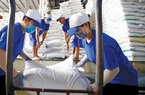Xuất khẩu gạo sang Pháp: Còn nhiều dư địa