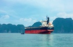 Tập đoàn của tỷ phú Trần Đình Long mua thêm tàu vận tải biển “khủng”
