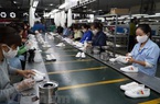 Doanh nghiệp FDI kỳ vọng nền kinh tế Việt Nam sớm phục hồi