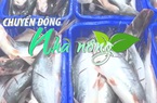 Chuyển động Nhà nông 28/12: Gần 700 doanh nghiệp đạt chuẩn được phép xuất khẩu thủy sản vào thị trường Đài Loan