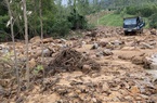 Sạt lở kinh hoàng, 8 hecta cây rừng, đất đá từ đỉnh núi Trang Dài bất ngờ đổ ập xuống