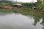 Quảng Ngãi: Nuôi loài cá mọc hoa ở thân trong ao đất, nhà nông thu lời cao