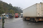 Lạng Sơn bác tin Trung Quốc tạm ngừng nhập thanh long Việt Nam trong 4 tuần