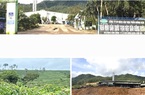 Phú Yên:
Nguồn nguyên liệu sắn sẽ thiếu hụt trầm trọng nếu xây thêm nhà máy?
