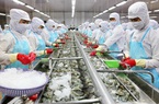 Quy định điều tra chống bán phá giá của Úc, doanh nghiệp cần chú ý gì?