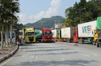 Thực hư thông tin một số cảng của Trung Quốc ngừng nhập khẩu hàng hóa trong 6 tuần?