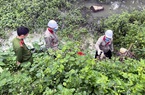 Quảng Ninh: Xả nước thải "bẩn", một doanh nghiệp bị phạt 80 triệu đồng