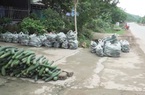 Hòa Bình: Bí xanh mất giá "thê thảm", chất thành đống ven đường quốc lộ
