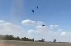 Video: “Mưa chuột” trong Kinh thánh đang tàn phá nước Úc