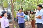 Đồng Nai: Nhiều hộ nông dân giàu lên nhờ làm nông thôn mới kiểu mẫu