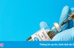 Pfizer chào bán vaccine cho Việt Nam với giá bao nhiêu?