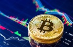 Nhìn lại tuần "sốc giá" của bitcoin và loạt đồng tiền điện tử tuần qua: vì đâu nên nỗi?