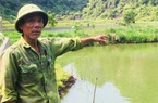 Ninh Bình: Muốn giàu nuôi cá to bự ở nơi xung quanh là núi đá, ông nông dân lãi 300 triệu mỗi năm