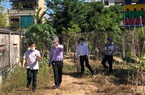 Quảng Ngãi:
Chủ tịch tỉnh kiểm tra hiện trường vụ buộc khôi phục nguyên trạng đất cải tạo cây trồng 
