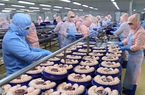 Mỹ nhập khẩu nhiều nhất mặt hàng này vì người dân ngày càng ăn nhiều, thuỷ sản Việt Nam sẽ bán chạy?
