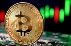 Bitcoin tiếp tục giảm sốc trước sự hoài nghi từ Nhật Bản