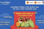 Một ngày lên sàn thương mại điện tử, gần 1 tấn mận hậu Sơn La được tiêu thụ