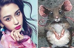 3 con giáp của cải tăng vọt trong tháng 5, mở ra những ngày phú quý
