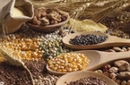 FAO: Chi phí nhập khẩu lương thực toàn cầu sẽ tăng lên mức kỷ lục 