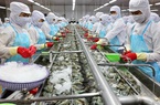 Thủy sản Minh Phú rót thêm hơn 600 tỷ vào công ty nông nghiệp công nghệ cao
