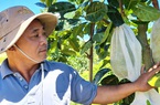 Quảng Bình: Hộ nghèo tưởng như không thể thoát nghèo thì nay lại sở hữu gia sản tiền tỷ, đi ô tô hạng sang