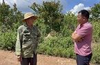 Đắk Nông: Trại heo quy hoạch một nơi tham vấn cộng đồng một nẻo