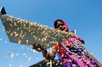 Gạo Ấn Độ nhập khẩu ồ ạt vào Việt Nam, 5 doanh nghiệp vào “tầm ngắm”