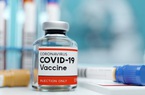 Cổ phiếu dược bật tăng kịch trần sau khi lọt danh sách được nhập khẩu vắc xin Covid-19