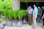 Trung tâm Khuyến nông tỉnh Thái Nguyên cấp gần 8.000 cây na giống cho người dân