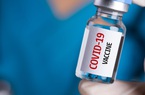 Vingroup lập công ty sản xuất vaccine và thuốc vốn 200 tỷ