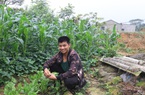 Lạng Sơn: Anh nông dân dân tộc Dao "không sợ ma" lên núi nuôi thứ cá lạ khiến cả làng phục lăn