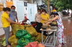 Bộ NNPTNT cấp tốc thành lập tổ công tác chỉ đạo sản xuất, tiêu thụ nông sản ở các tỉnh phía Nam