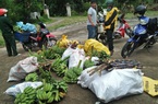 Nông dân Quảng Nam góp 100 tấn lương thực, thực phẩm gửi xe Thaco Trường Hải vào tặng bà con TP HCM