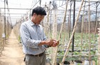 Chuyển đổi số nông nghiệp ở Lâm Đồng (bài 1): Ứng dụng  IoT vào trồng rau, nông dân thu tiền tỷ mỗi năm