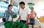 Quảng Nam: Mở rộng diện tích trồng cam sành Trà Dương để giúp nông dân miền núi tăng thu nhập.