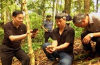 Quảng Nam: Di thực loại cây mỗi 1kg củ có giá 3 cây vàng về 5 huyện miền núi để trồng thử nghiệm