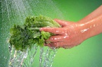 Hà Nội đề xuất giảm giá tiền nước sạch sinh hoạt cho các hộ dân vì dịch Covid-19