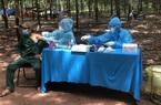 Trung Quốc thu mua gần hết, giá loại nông sản này của Việt Nam ngược dòng bật tăng