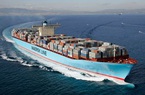 Tháng 8, hàng hoá container thông qua Cảng biển tăng trưởng 2 con số