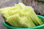 Độc lạ loài cỏ dại thành loại rau "hái ra tiền" của miền Tây
