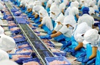 Xuất khẩu mực, bạch tuộc sang Thái Lan tăng 25%