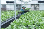 KH&CN góp phần đưa Việt Nam lọt top 15 xuất khẩu nông sản lớn trên thế giới