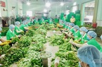 Cách nào đặt mua combo nông sản 10kg/túi giá chỉ từ 100.000 đồng/túi ở TP.HCM?