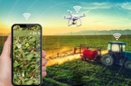 Số hóa nông nghiệp ở Trung Quốc: Trang trại lắp camrera kết nối 5G, cừu được gắn thẻ căn cước